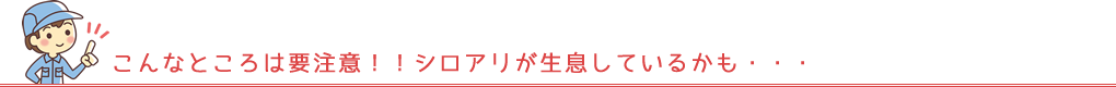 こんなところに要注意！！シロアリが生息しているかも・・・