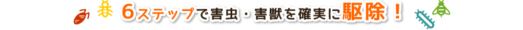 6ステップで害虫・害獣を確実に駆除！Y.Tコーポレーション株式会社での駆除の流れをご紹介します。